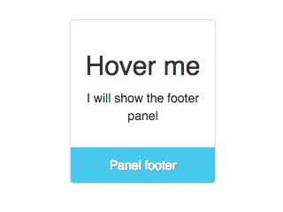 Slidy Panel Footer