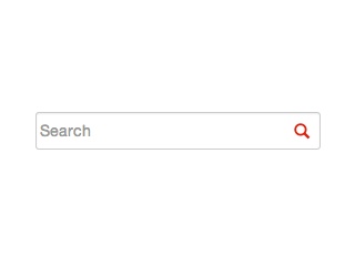 Stylish Search Box