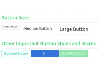 Awesome Button Styles