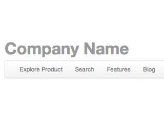 Product or company header