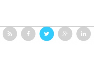 Spinning social icons