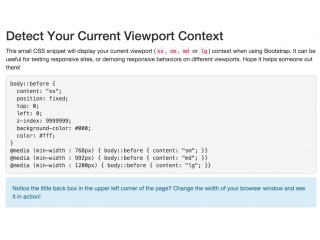 Detect Viewport Context