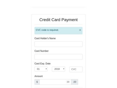 Credi Card Payment
