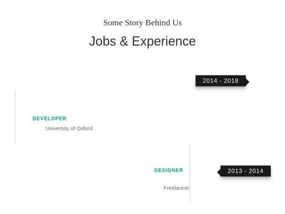 Jobs & Experience Section