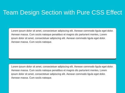 Team Design Section with Pure CSS  on hover Effect