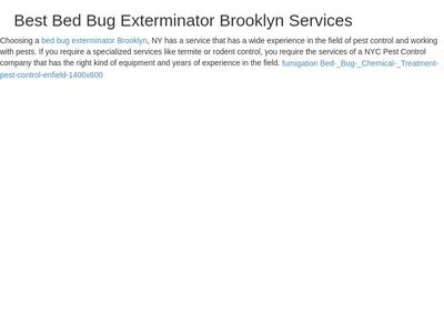 Bed Bug Exterminator Brooklyn Service