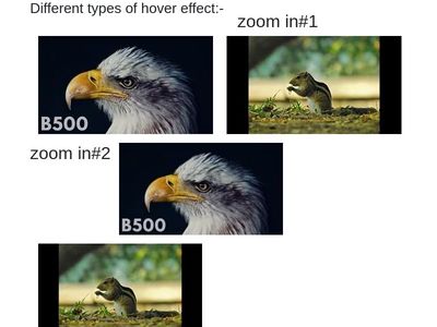 Different types of hover and transition effect