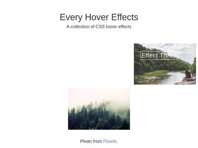 img hover effect