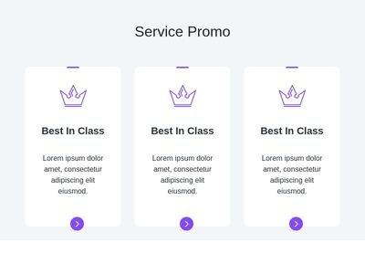 Service Promo Section