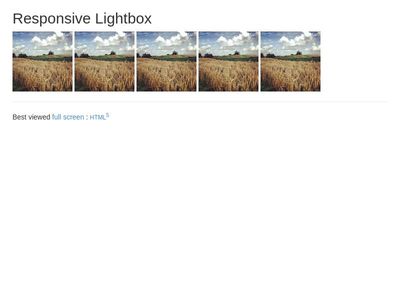TEST: responsive LightBox
