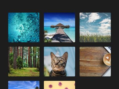Image Gallery using bootstrap 4