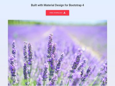 Bootstrap Hover Effects - Material Design & Bootstrap 4