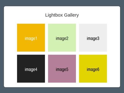 light box img