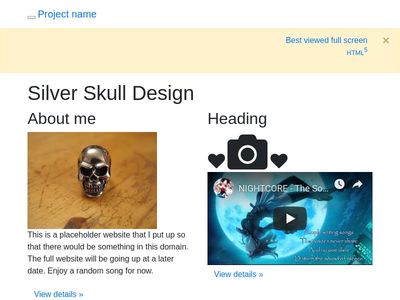 Silver Skull Design