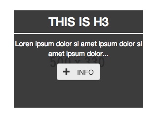 Caption hover effect text