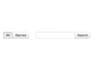 Search form with toggles
