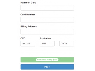 Bootstrap Payment Examples