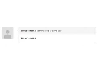 User Comment Example