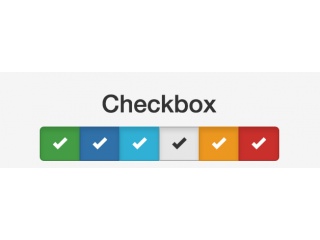 Checkbox/Radio - CSS Only