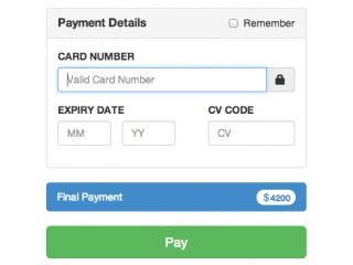Bootstrap Payment Examples