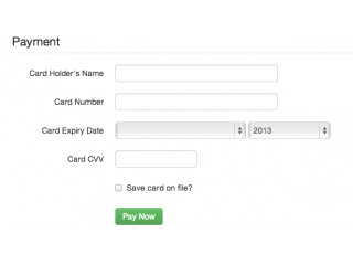 Credit card payment form