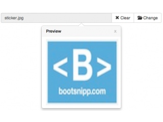 Input File - Popover Preview Image 