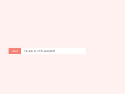 Animated Input Field with CSS