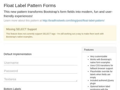 Float Label Pattern Forms