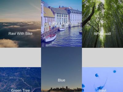 Image Gallery + hover effect + only css + ravi