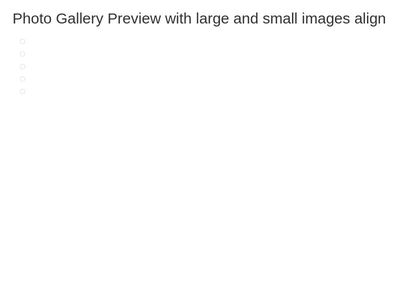 Photo Gallery Preview with large and small images align