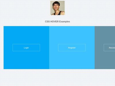 CSS Hover, Hover Effects 1