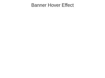 Banner Hover Effect