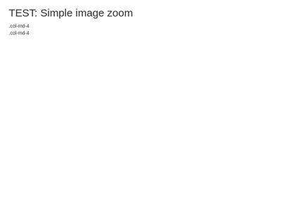 TEST: Simple image zoom
