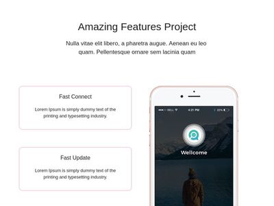 Amazing Features Project