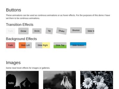 image hover and animate css